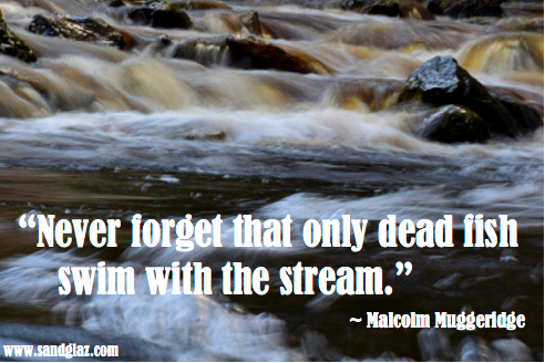 “Never forget that only dead fish swim with the stream.” ~ Malcolm Muggeridge