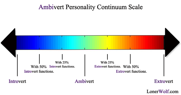 introverted extroverted continuum