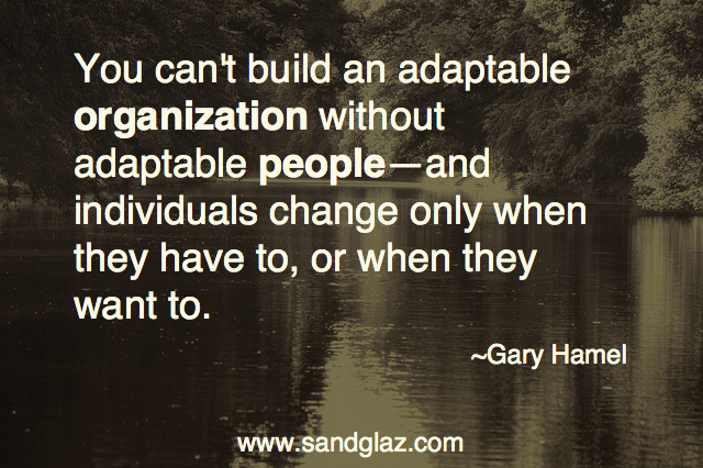 adaptable organization